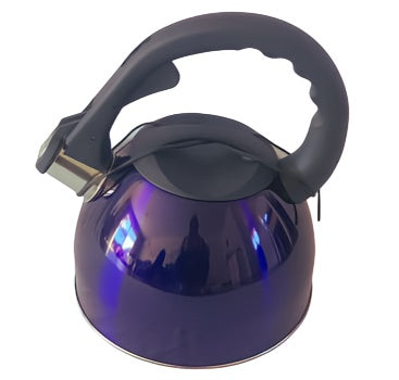 2.6L Stainless Steel Whistling Kettle in Blue