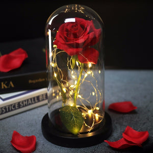 Beauty And Beast Rose In Flask Led Rose - Pop Up Life