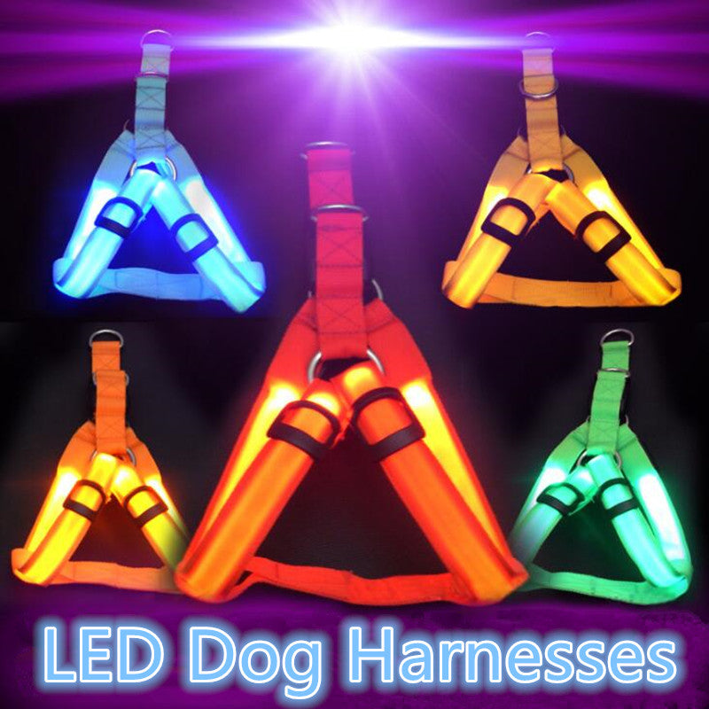 Nylon Pet Safety LED Harness Dog Product Flashing Light Harness Dog Harness Leash Rope Belt - Pop Up Life
