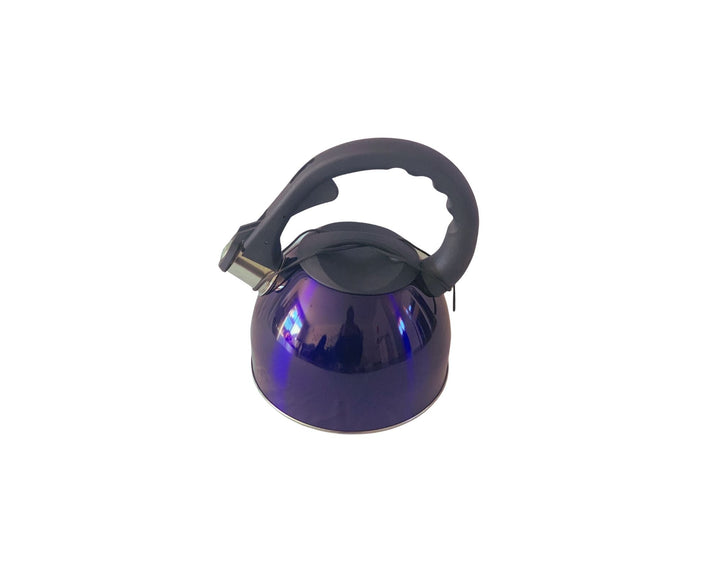 2.6L Stainless Steel Whistling Kettle in Blue