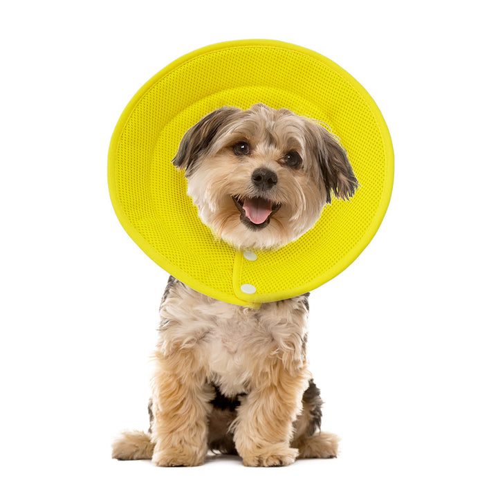 Ondoing Pet Dog Cat Elizabethan Collar Adjustable Cone Mesh Recovery Multicolor